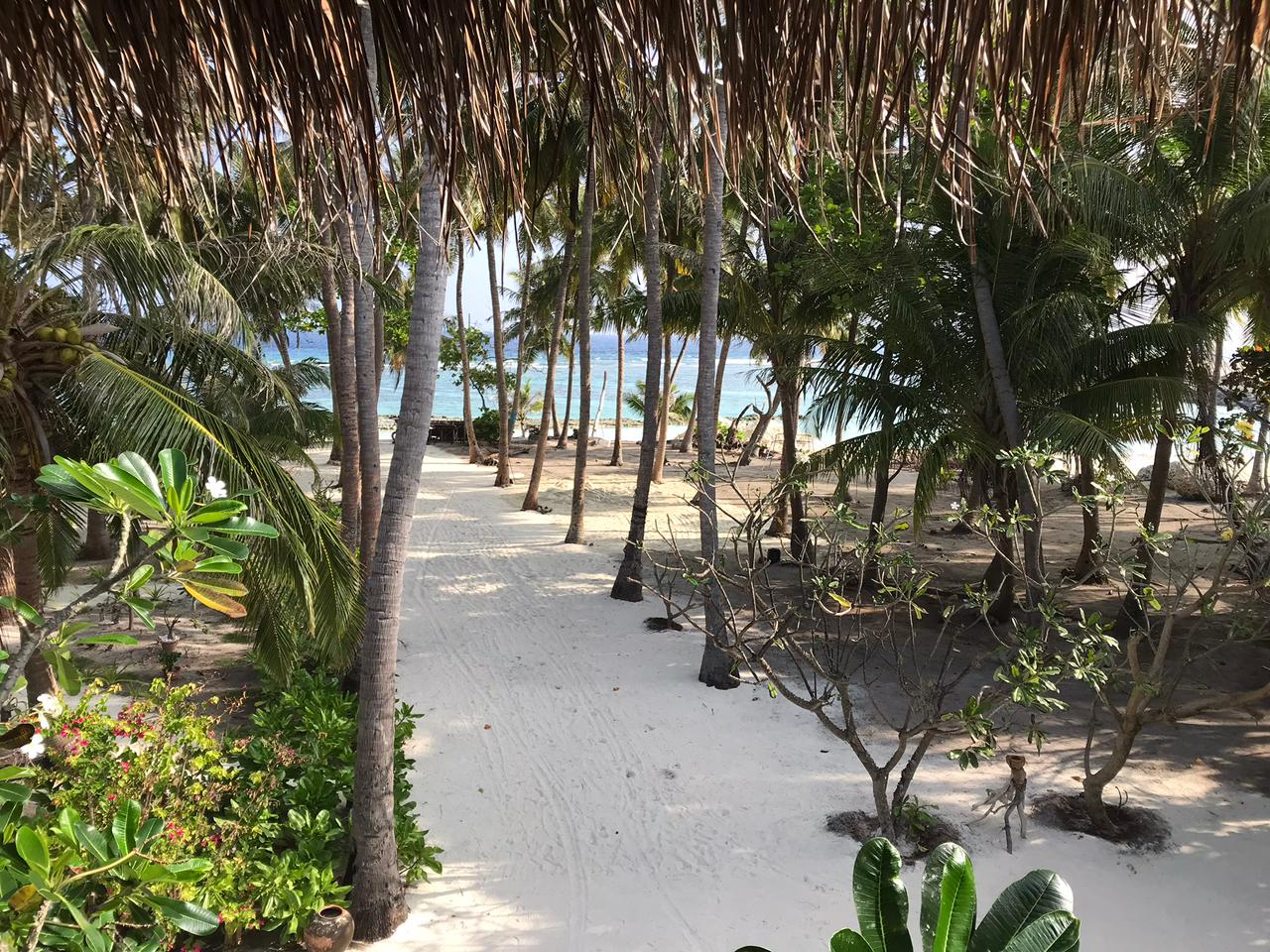 Boutique Hotel Fulhadhoo - 1