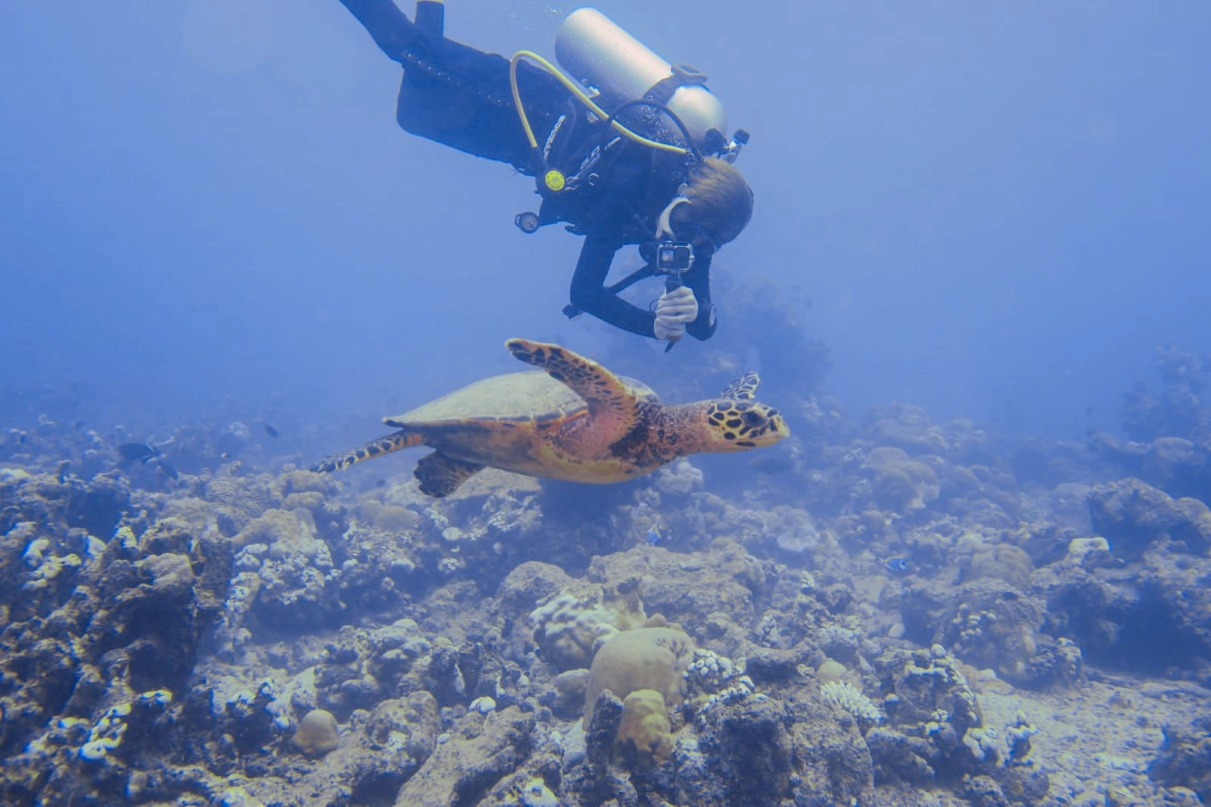 Dive Hotel Fulhadhoo - 6