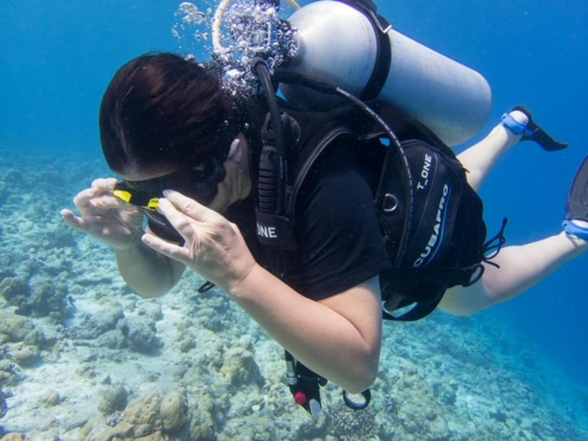Dive Hotel Fulhadhoo - 2